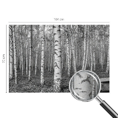 Stick-on wall mural with a birch forest design