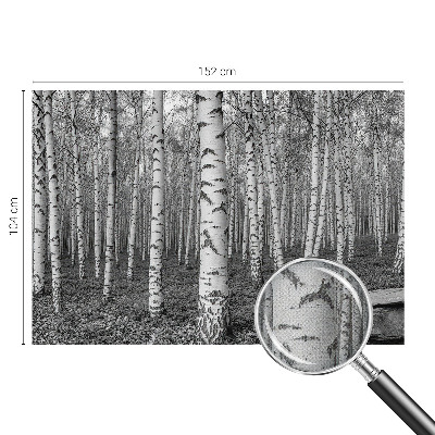 Stick-on wall mural with a birch forest design