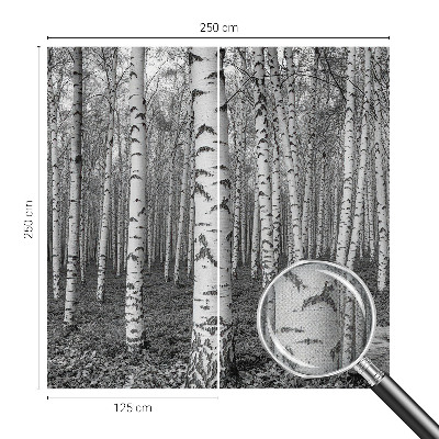 Stick-on wall mural with a birch forest design