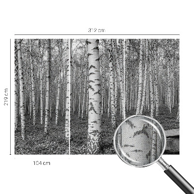 Stick-on wall mural with a birch forest design