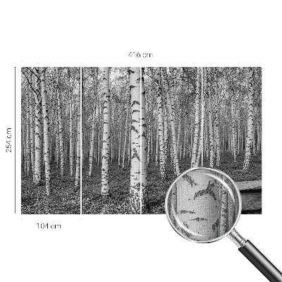 Stick-on wall mural Birch forest