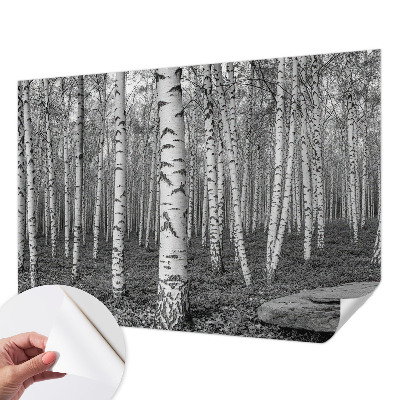 Stick-on wall mural with a birch forest design