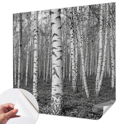 Stick-on wall mural Birch forest