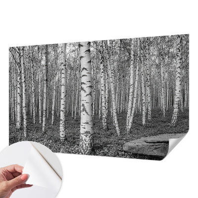 Stick-on wall mural with a birch forest design