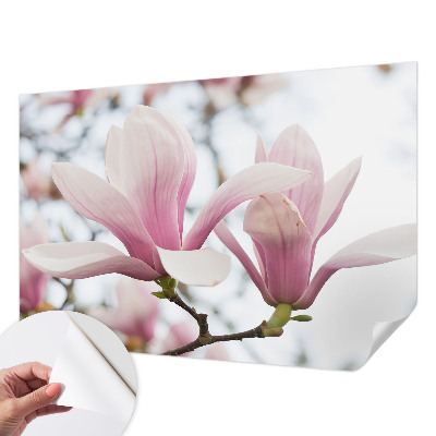 3D photo wallpaper mural with magnolia flowers