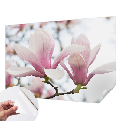 3D photo wallpaper mural with magnolia flowers