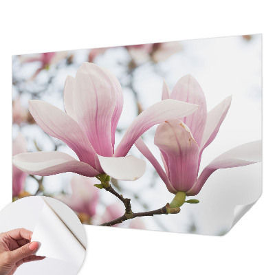 3D photo wallpaper mural with magnolia flowers