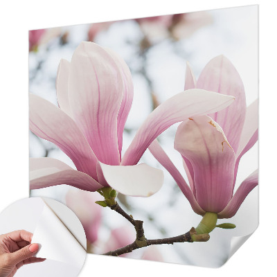 3D photo wallpaper mural with magnolia flowers