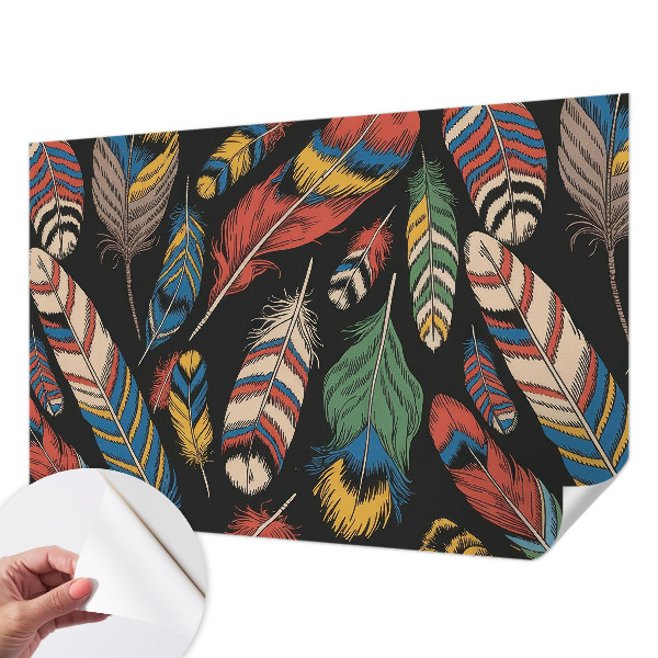 Peel and stick wall mural for bedroom with a colorful feather design