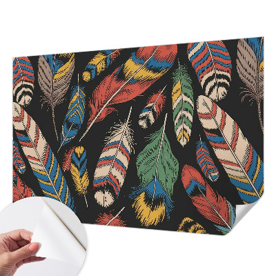Peel and stick wall mural for bedroom with a colorful feather design