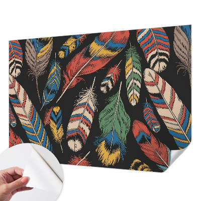 Peel and stick wall mural for bedroom with a colorful feather design