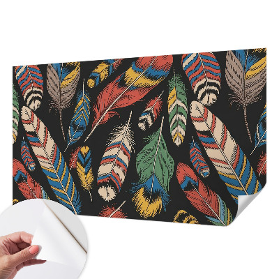 Peel and stick wall mural for bedroom with a colorful feather design