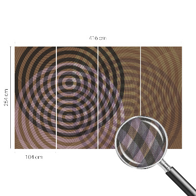 3D photo wallpaper mural Hypnotizing circles