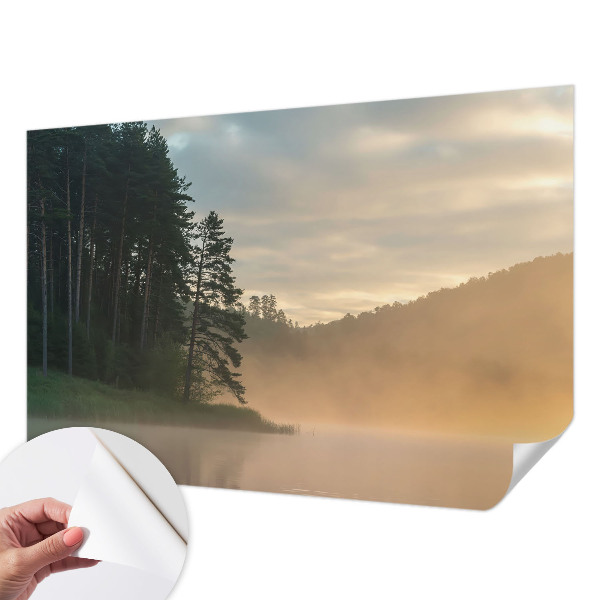 3D wall mural with a foggy morning scene