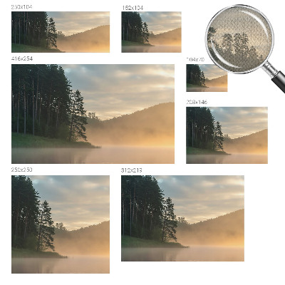 3D wall mural Foggy morning