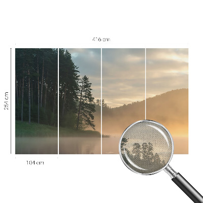 3D wall mural Foggy morning