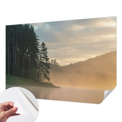 3D wall mural with a foggy morning scene