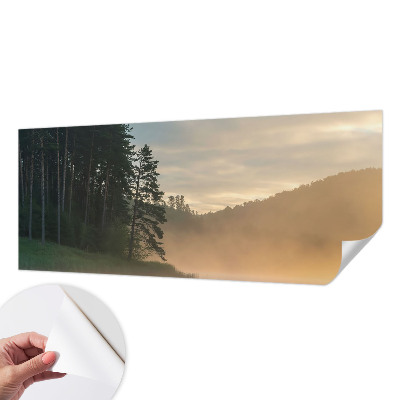 3D wall mural with a foggy morning scene