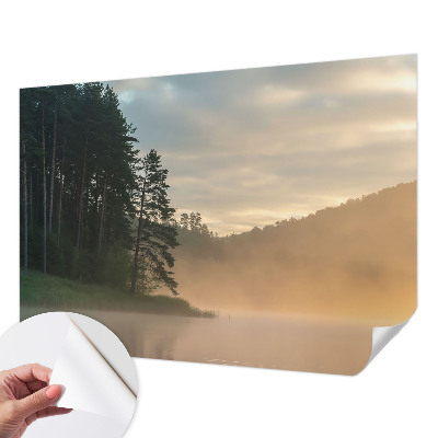 3D wall mural Foggy morning