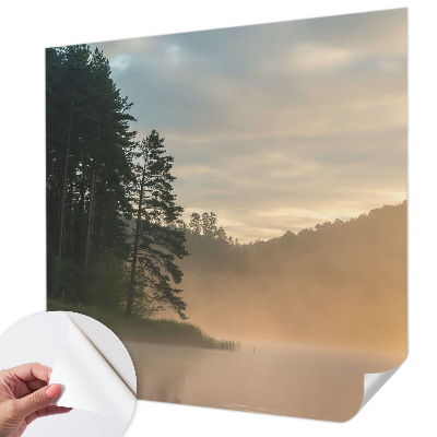 3D wall mural with a foggy morning scene
