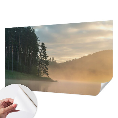 3D wall mural with a foggy morning scene