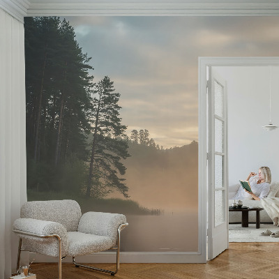 3D wall mural with a foggy morning scene