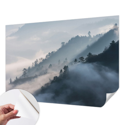 Baby room wall mural Foggy landscape