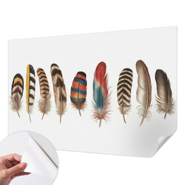 Peel and stick wallpaper mural with a colorful feather pattern