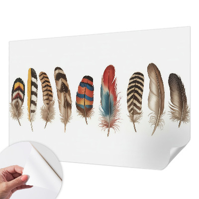 Peel and stick wallpaper mural with a colorful feather pattern