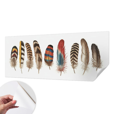 Peel and stick wallpaper mural with a colorful feather pattern
