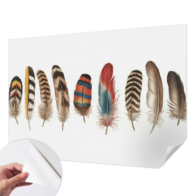 Peel and stick wallpaper mural with a colorful feather pattern
