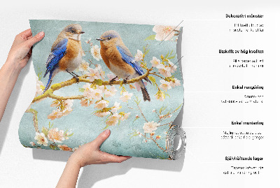 Peel and stick wallpaper mural Colorful feathers