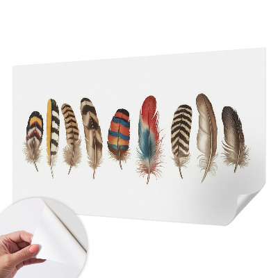 Peel and stick wallpaper mural with a colorful feather pattern
