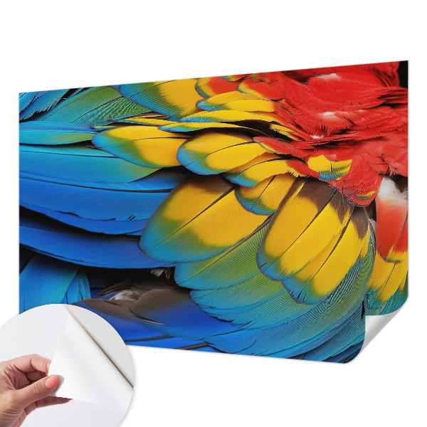 Peel and stick wall mural for living room with a rainbow feather design