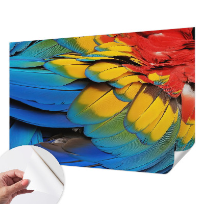 Peel and stick wall mural for living room with a rainbow feather design