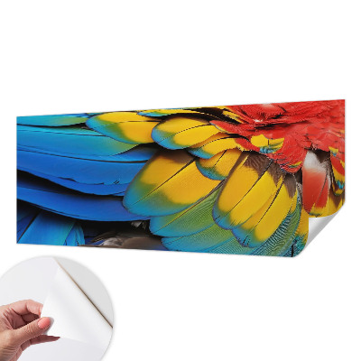 Peel and stick wall mural for living room with a rainbow feather design