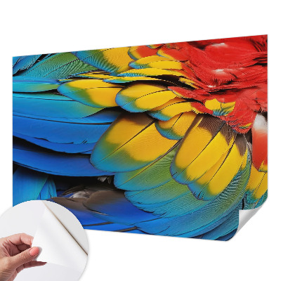 Peel and stick wall mural for living room with a rainbow feather design