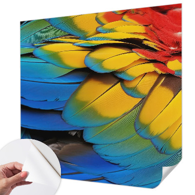 Peel and stick wall mural for living room with a rainbow feather design