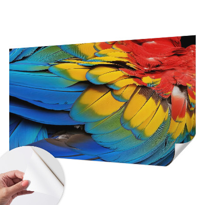 Peel and stick wall mural for living room with a rainbow feather design