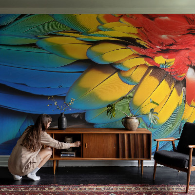 Peel and stick wall mural for living room with a rainbow feather design