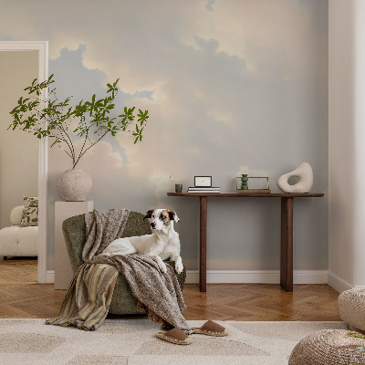 Peel and stick wall mural for kids' room Pastel sky
