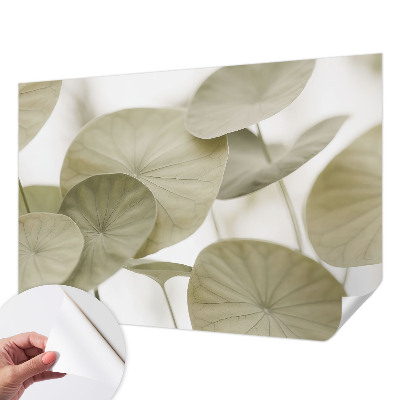 Peel and stick wallpaper mural with a natural elegant design