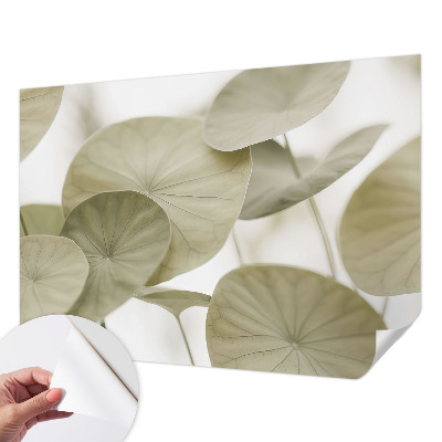 Peel and stick wallpaper mural Natural elegance