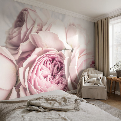 Nursery wall mural with a pink roses design