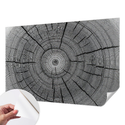 Peel and stick wall mural Forest harmony