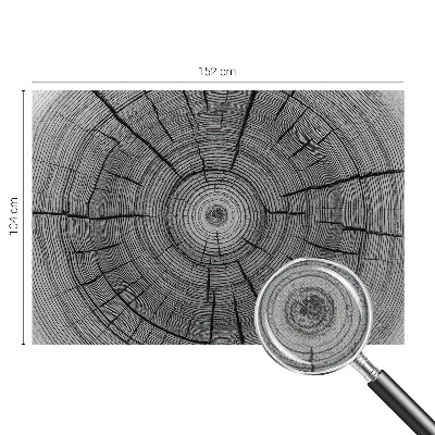 Peel and stick wall mural Forest harmony