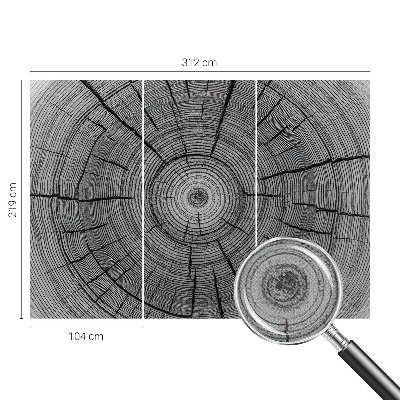 Peel and stick wall mural Forest harmony