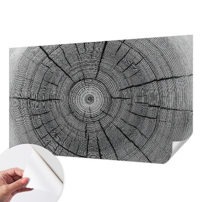 Peel and stick wall mural with a forest harmony design