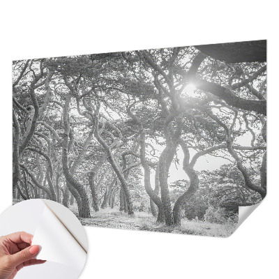 Baby room wall mural with an atmospheric forest design