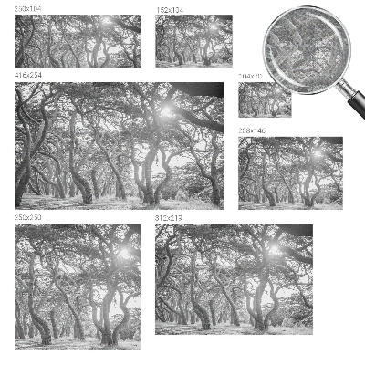 Baby room wall mural with an atmospheric forest design